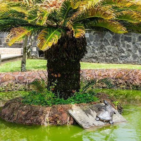 Quinta Da Paz Azores Pico da Pedra Exterior photo